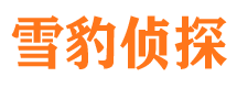 中原市婚外情调查